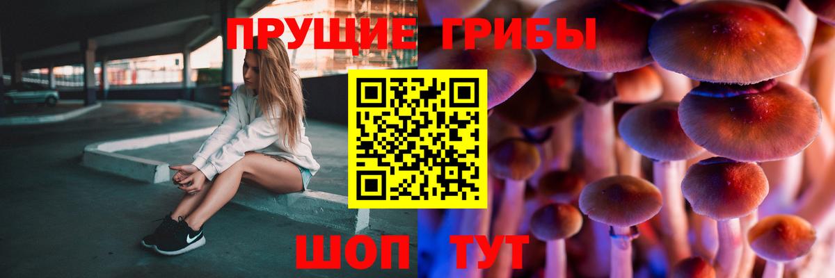 Галлюциногенные грибы прущие грибы  Вход с VPN  Тобольск 