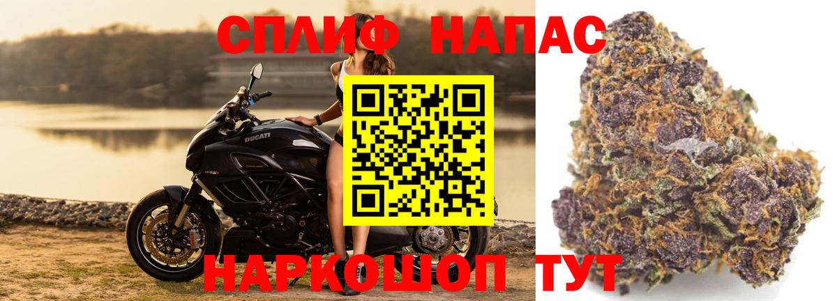 Канабис сатива Тобольск